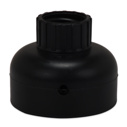 KAU / Profile view right 