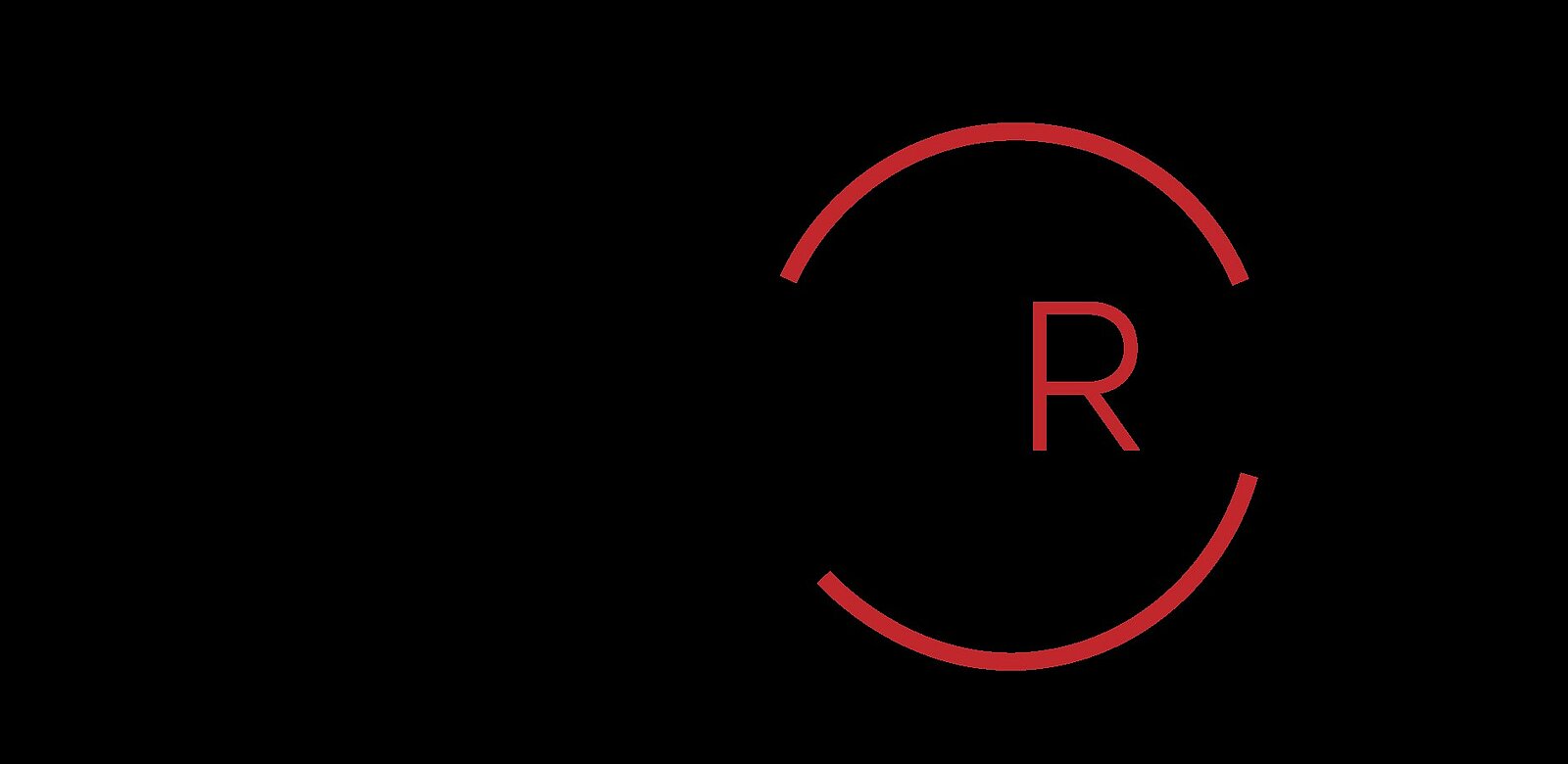 DanMirror logo – safety and traffic mirrors by Dancop.